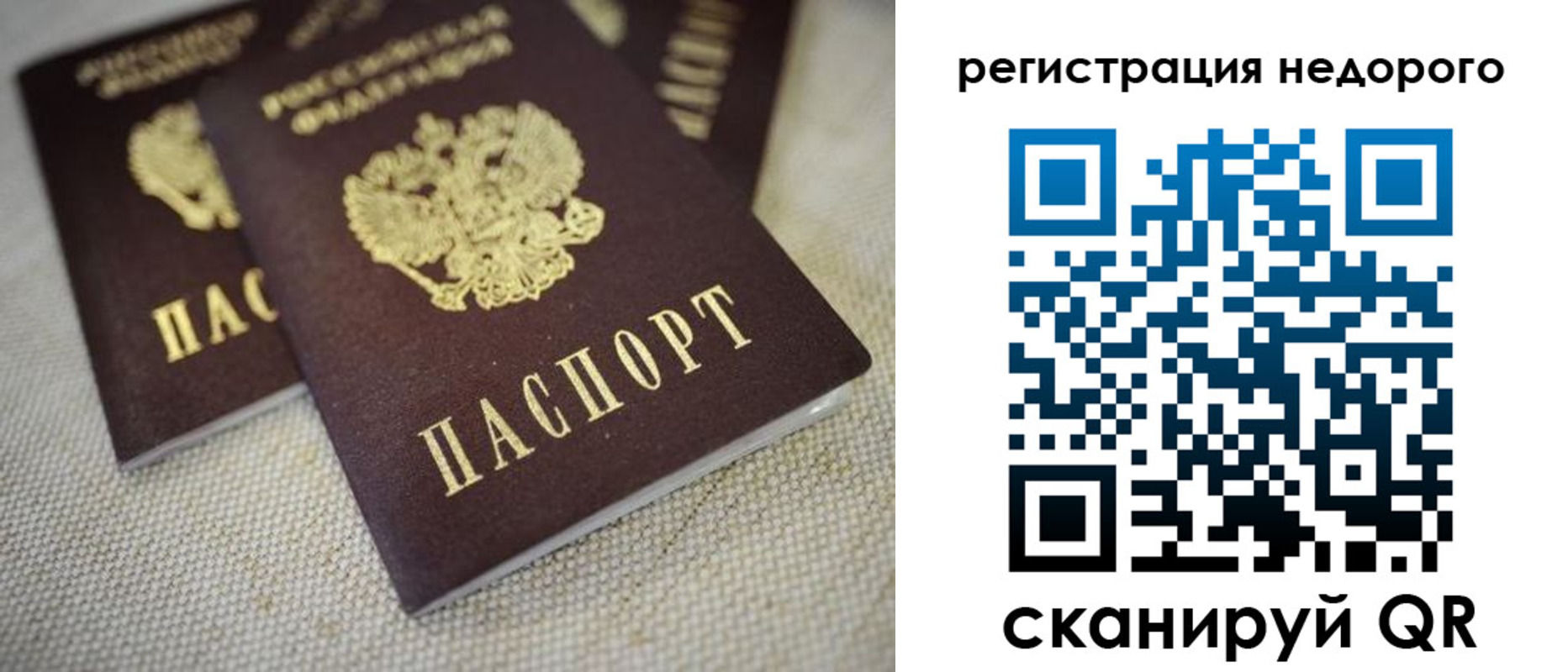временная регистрация гарантия в Тайге